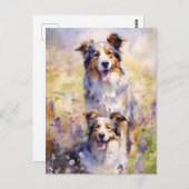 Australian Shepherd kleurrijke waterverf kunstwerk Briefkaart (Voorkant / Achterkant)