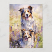 Australian Shepherd kleurrijke waterverf kunstwerk Briefkaart (Voorkant)