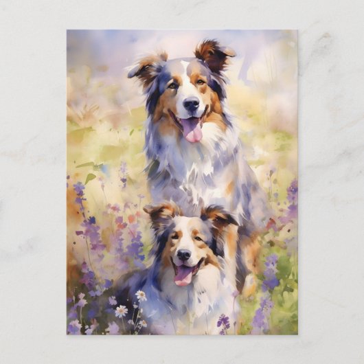 Australian Shepherd kleurrijke waterverf kunstwerk Briefkaart (Voorkant)
