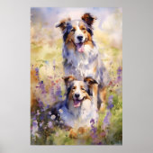 Australian Shepherd kleurrijke waterverf kunstwerk Poster (Voorkant)