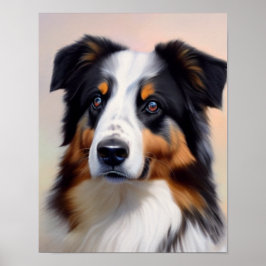 Australian Shepherd Kopf -  Poster
