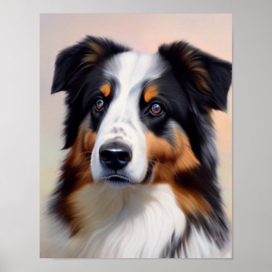 Australian Shepherd Kopf - Poster (Voorkant)
