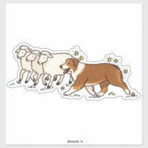 Australian Shepherd - Kudden