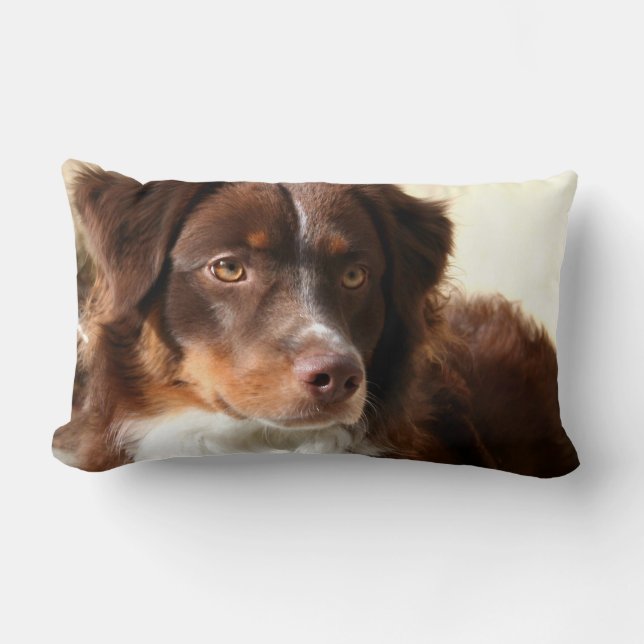 Australian Shepherd Kussen (Voorkant)