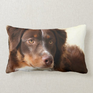 Australian Shepherd Kussen