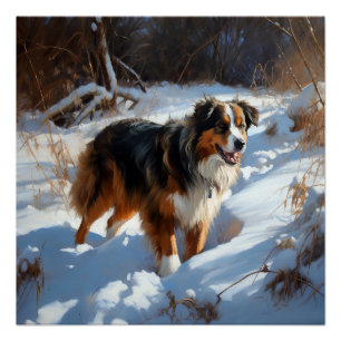 Australian Shepherd Laat Het Sneeuw Kerstmis Perfect Poster