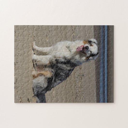 Australian Shepherd Legpuzzel (Horizontaal)