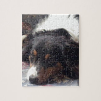 Australian Shepherd Legpuzzel