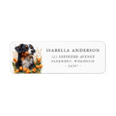 Australian Shepherd lente gele tulpen Etiket (Voorkant)
