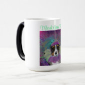 AUSTRALIAN SHEPHERD MAGISCHE MOK (Voorkant links)