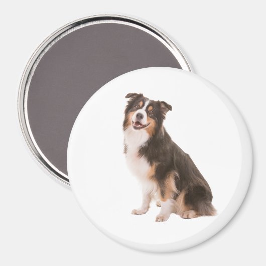 Australian Shepherd Magneet (Voorkant / Achterkant)