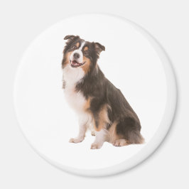 Australian Shepherd Magneet