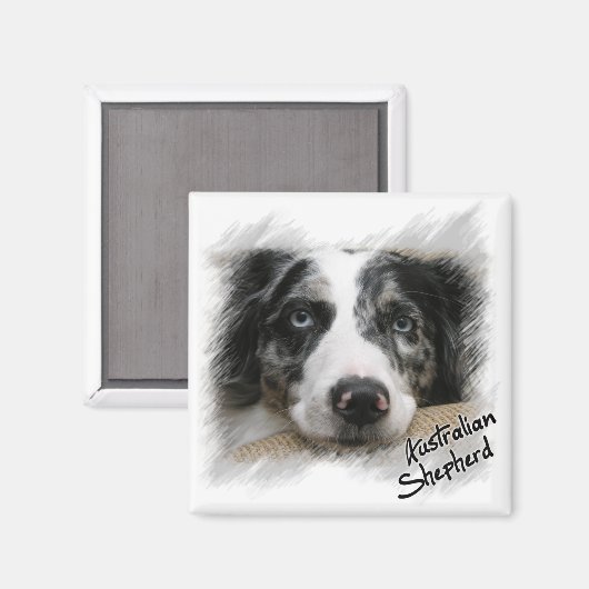 Australian Shepherd Magnet (Voorkant / Achterkant)