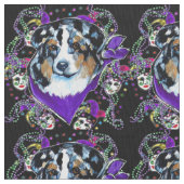 AUSTRALIAN SHEPHERD - MARDI GRAS STOF (Close Up)