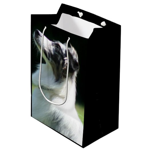 Australian Shepherd Medium Gift Bag Cadeauzakje (Voorkant Gekanteld)