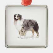 Australian Shepherd Metalen Ornament (Voorkant)
