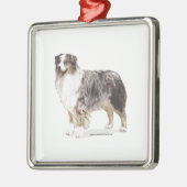 Australian Shepherd Metalen Ornament (Links)
