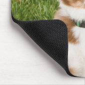 Australian Shepherd Mousepad Muismat (Hoek)