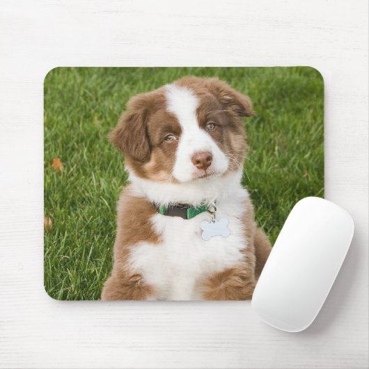 Australian Shepherd Mousepad Muismat (Met muis)