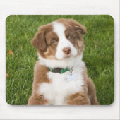 Australian Shepherd Mousepad Muismat (Voorkant)