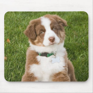 Australian Shepherd Mousepad Muismat