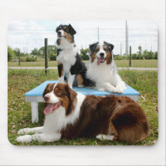 Australian Shepherd Mousepad Muismat