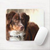 Australian Shepherd mousepad Muismat (Met muis)