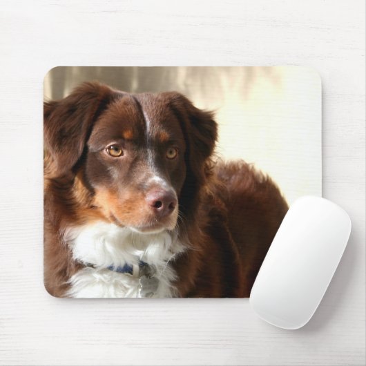Australian Shepherd mousepad Muismat (Met muis)