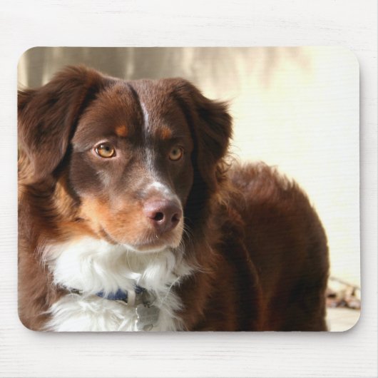 Australian Shepherd mousepad Muismat (Voorkant)