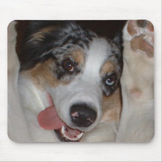Australian Shepherd Muismat