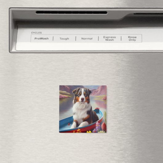 Australian Shepherd op Paddle: Een Schilderachtig  Magneet (Insitu (Vaatwasser))