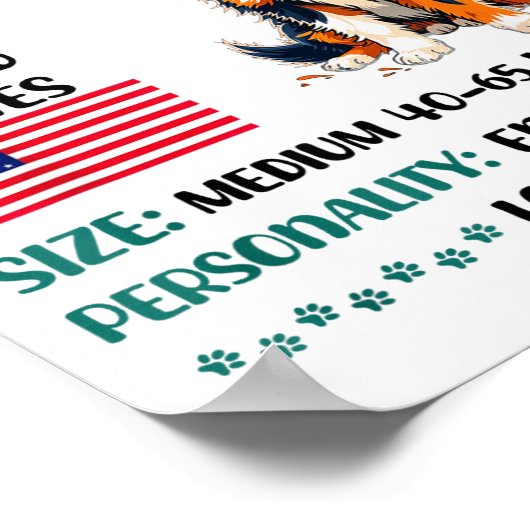 Australian Shepherd Origin Funny Aussie Dog Lover  Poster (Hoek)