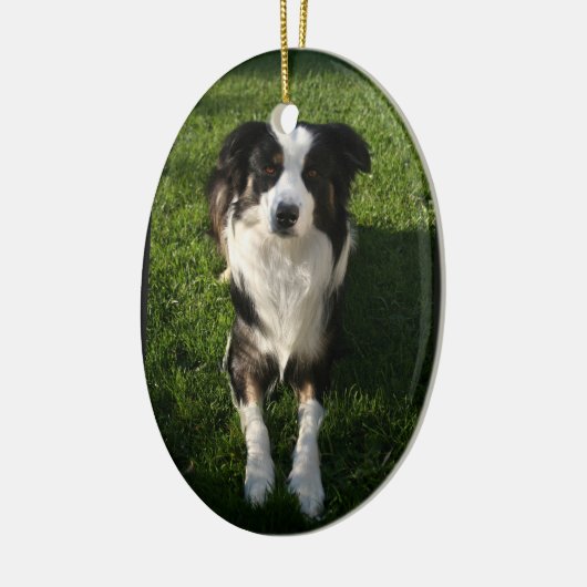 Australian Shepherd Photo Ornament (Links)