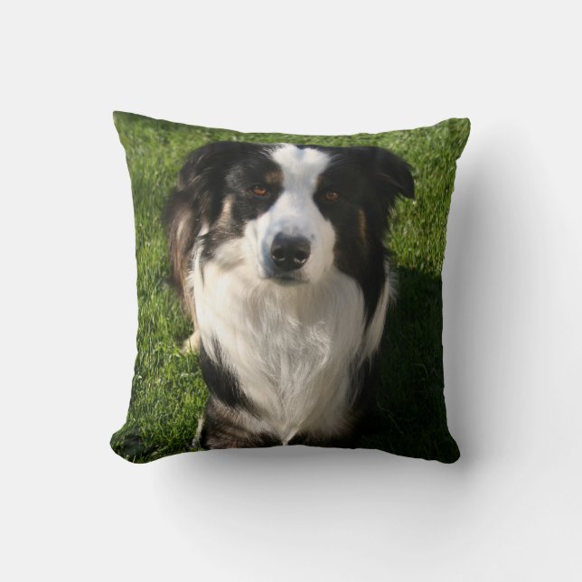 Australian Shepherd Photo Pillow Kussen (Voorkant)