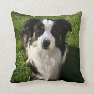Australian Shepherd Photo Pillow Kussen