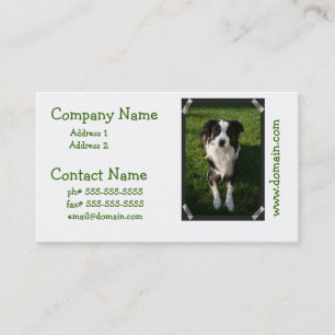 Australian Shepherd Photo Visitekaartje