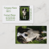 Australian Shepherd Photo Visitekaartje (Voorkant / Achterkant)