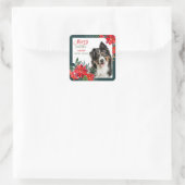 Australian Shepherd Poinsettia Bouquet Kerstmis Vierkante Sticker (Tas)