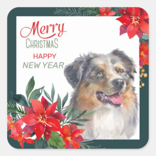 Australian Shepherd Poinsettia Bouquet Kerstmis Vierkante Sticker