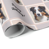 Australian Shepherd Portrait  -  Cadeaupapier (Rol Hoek)