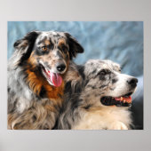 Australian Shepherd Portrait Fine Art Print (Voorkant)