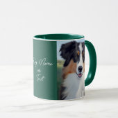 Australian Shepherd Portrait -  Mok (Voorkant rechts)