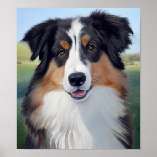 Australian Shepherd Portrait  -  Poster (Voorkant)