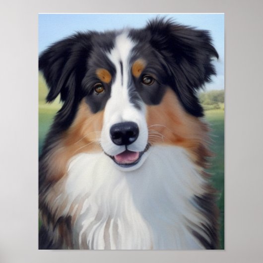 Australian Shepherd Portrait - Poster (Voorkant)