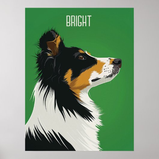 Australian Shepherd Poster (Voorkant)