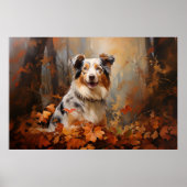 Australian Shepherd Poster (Voorkant)