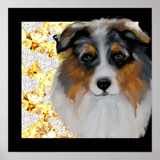 Australian Shepherd Poster (Voorkant)