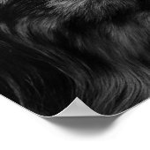 Australian Shepherd Poster (Hoek)