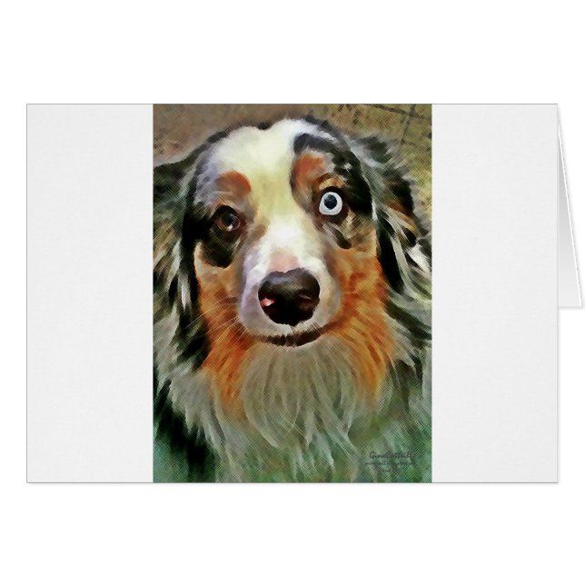 Australian Shepherd Print (Voorkant Horizontaal)