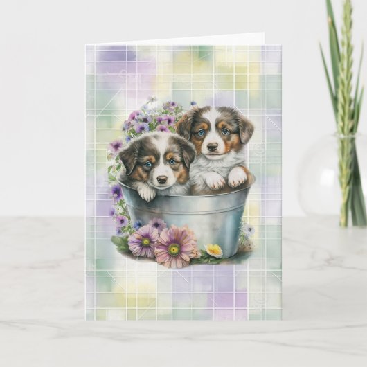 Australian Shepherd Puppies Blank Folded Note Kaar Notitiekaartje (Voorkant)